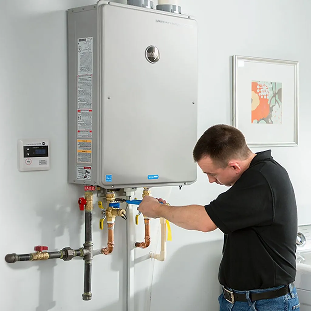 tankless water heater repair in Ehrhardt, SC